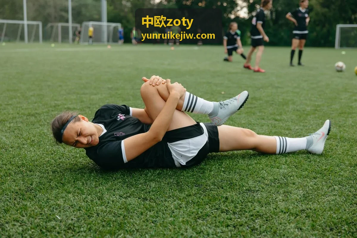 中欧zoty投资落地服务